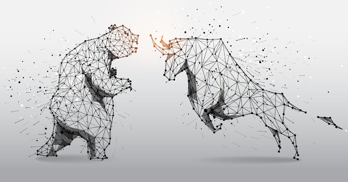 Adil Rashid Shines: England Spinner's Key Wickets & Top T20WC Ranking